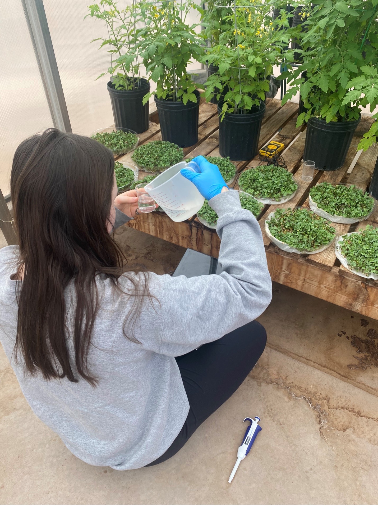 Madelyn tending to plants in the greenhab