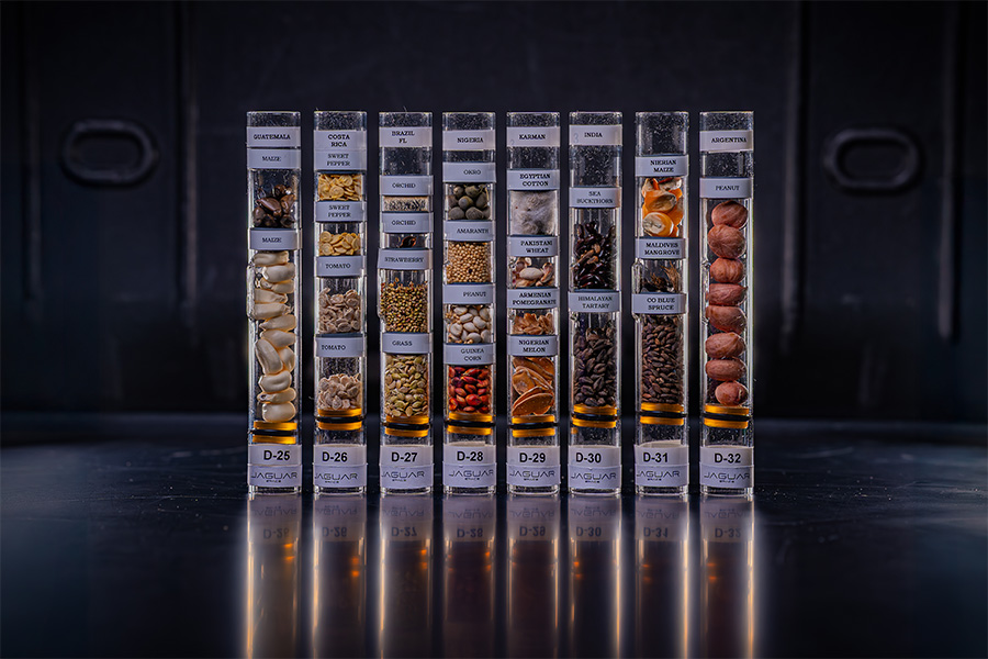 Photo of plastic tubes holding seeds from 11 different nations.