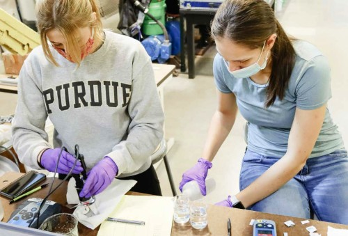 Environmental and Ecological Engineering PhD student Aliya Ehde (left) and Civil Engineering masters student Maria Palmegiani review the collected water samples.