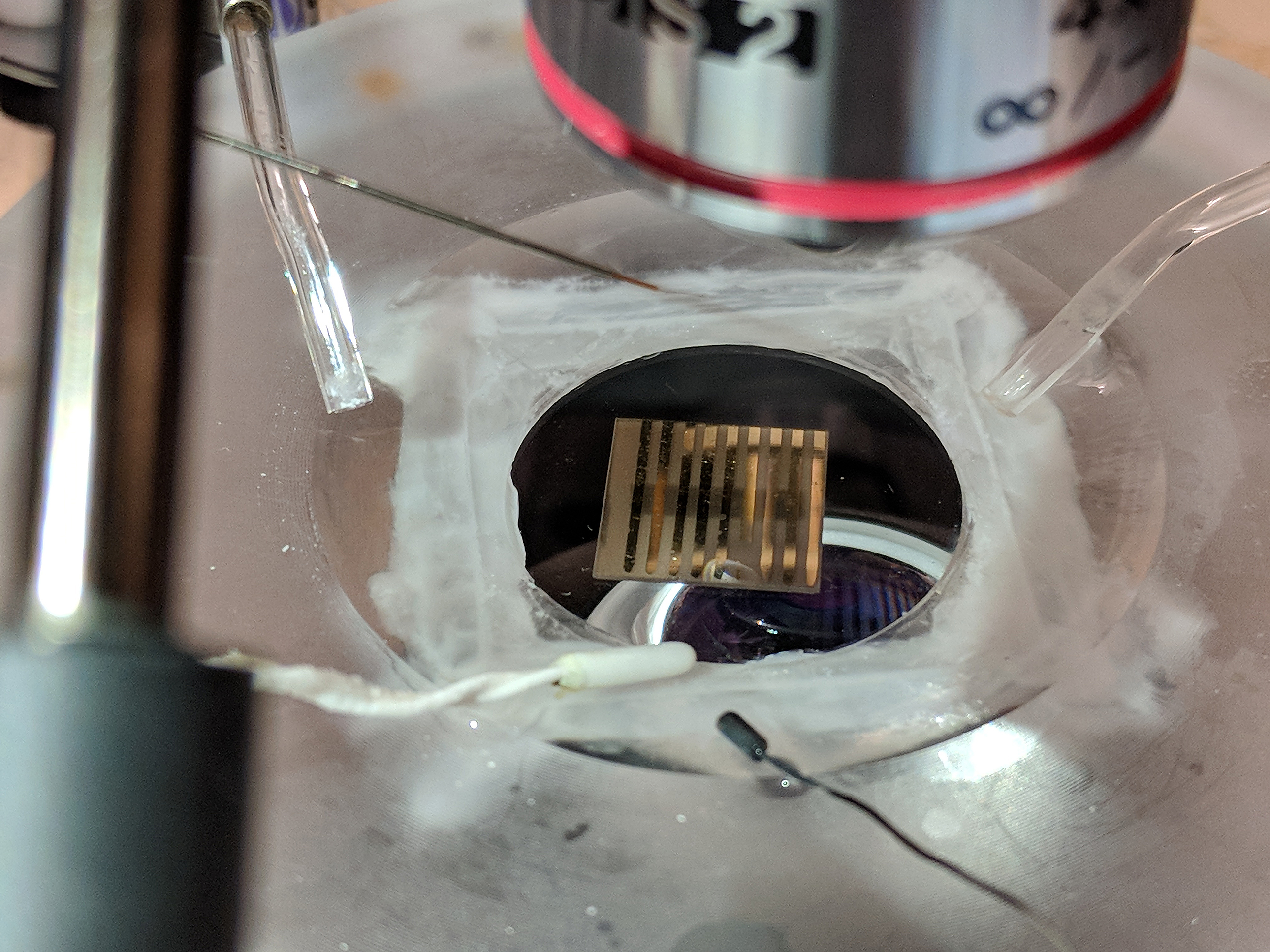 biosensor