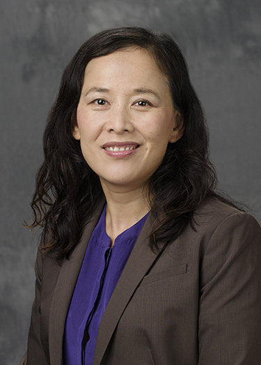 professor haiyan wang
