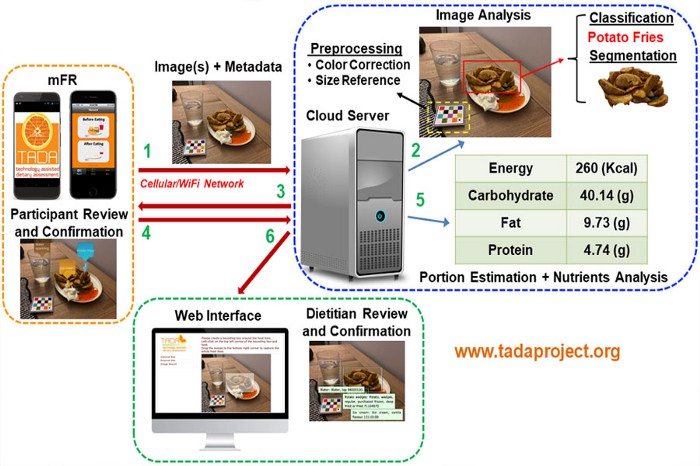 Overview of the TADA system