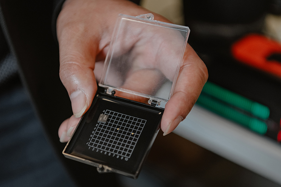 A small chip is seen in a plastic carrying box that is being held by the hand of Professor Sen.
