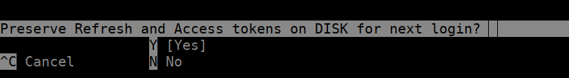 Preserve refresh and access tokens on disk