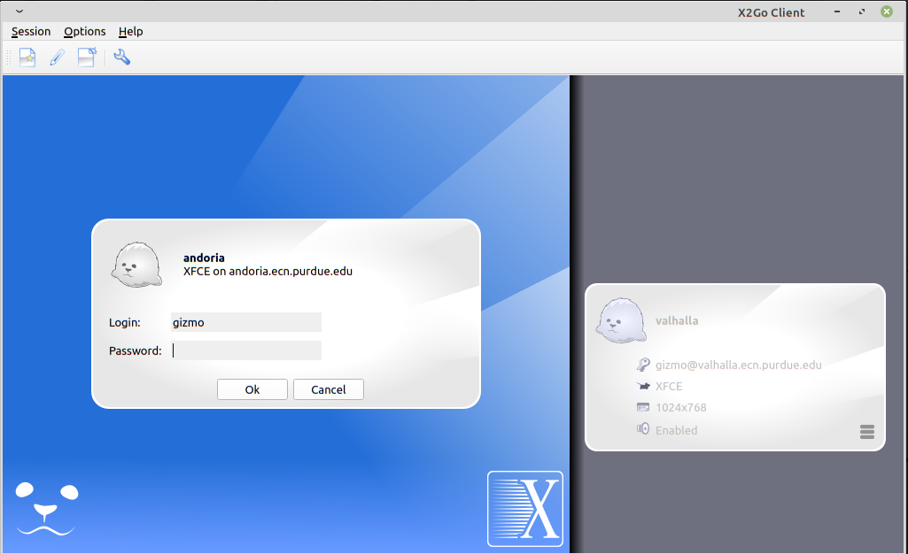 Screen capture of the X2Go window with a login prompt