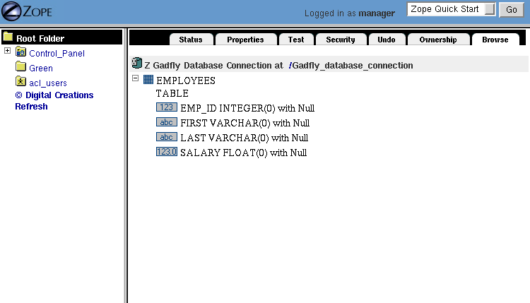 Browsing the Database Connection