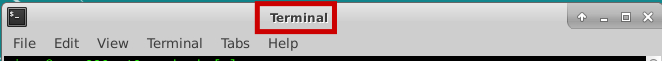 Title of terminal/shell window. In this case, a "plain" terminal.