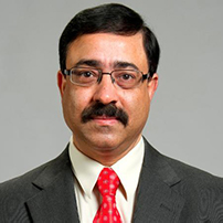 saraswat portrait