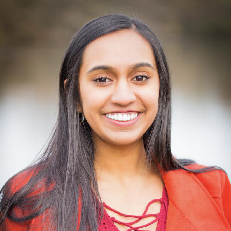 Pranay Parekh, BSIE 2020