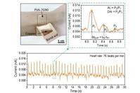 A team from Purdue University developed self-powered wearable triboelectric nanogenerators with polyvinyl alcohol-based contact layers for monitoring cardiovascular health. (Image provided)