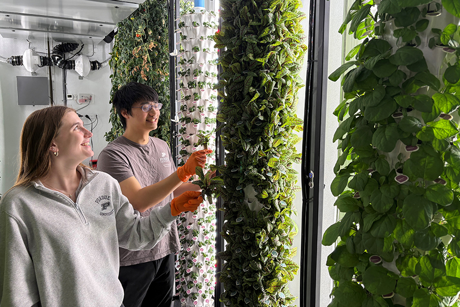 Two students standing near plants