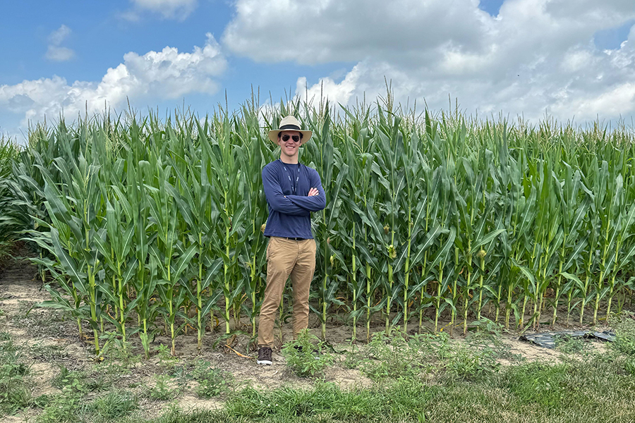 Student wearing hat, standing near cornfield with drone in air